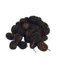 ( 4 oz ) Organic Guasima/Guasimo Seeds
