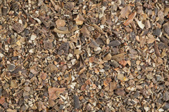 Bladderwrack Seaweed | Whole or Powder 1/ 4 / 8oz | Natural Iodine & Thyroid Aid