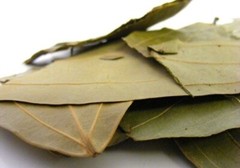 Organic DRIED SIDR LEAVES, Natural, Healthy from Egypt اوراق السدر المجففه