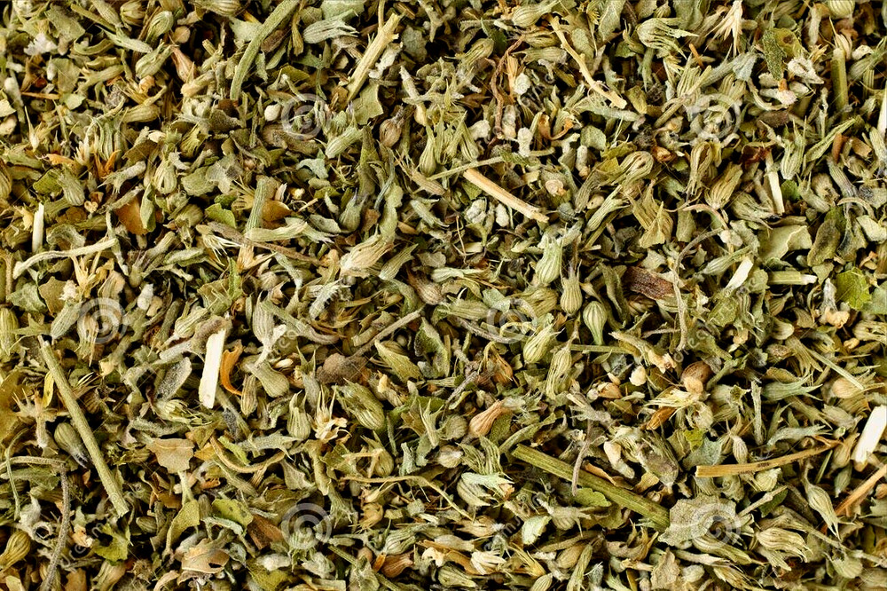 Wild Crafted Catnip Dried Cut ~ 8 oz. USA Free Ship