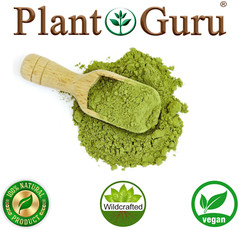 Moringa Oleifera Leaf Powder 100% Pure Natural Superfood Bulk Wholesale