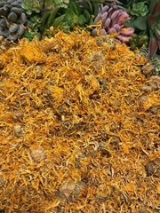 Dried Calendula Flowers USA Grown, Calendula Flowers Whole, Calendula