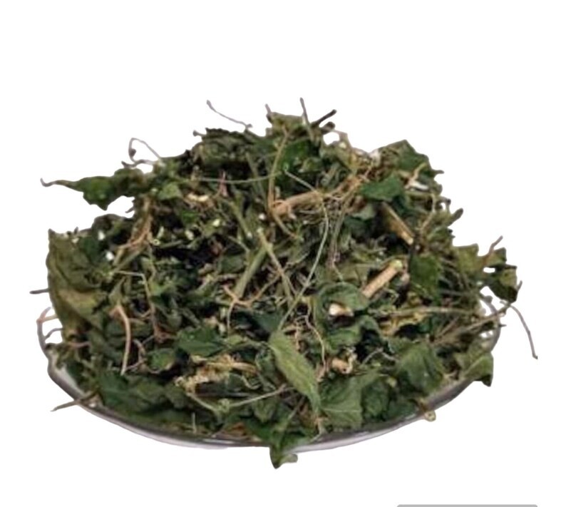 2 lb Jamaican Dog Blood Herb Loose Leaf Tea | Rivina Humilis Wildcrafted Bush