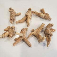 1LB 100% American Ginseng Root Extra Large Round Root US Seller 美国花旗参特大泡参