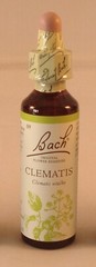 Bach Flower Remedies, Clematis 20ml. BBE 12/2029