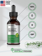 Dandelion Root Extract Supplement | 2 Fl Oz | Super Concentrated | Alcohol Free