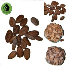 Raw Cacao / Cocoa Beans Whole Chocolate Nigeria Cocoa Bean 4 oz to 5 Lb Bulk
