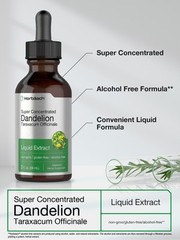 Dandelion Root Extract | 2 fl oz | Alcohol Free | Vegetarian | by Horbaach
