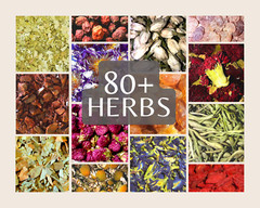 DRIED HERBS {A-K} 2 oz Bag – Loose Botanicals Apothecary Flowers Leaves Roots