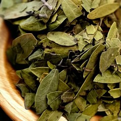 Herbs- Leaf