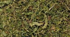 200g Organic Sida Acuta Dried Leaves – Fresh Air-Dried Rhombifolia Herbal Tea