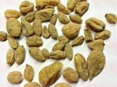 50 Grams SALAB MISHRI SALEP ORCHID ORCHIS MASCUL SALAM MISRI