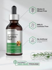 Burdock Root Liquid Extract | 2 fl oz | Alcohol Free | Vegetarian | by Horbäach