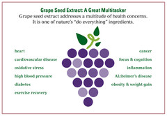 fat burner universal – AFRICAN MANGO – GRAPE SEED EXTRACT COMBO 2B – african man