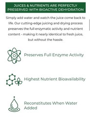 Raw BioActive Organic Wheatgrass Juice Powder – 20:1 Concentrate, 60 Servings