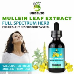 Undelio Mullein Leaf Extract For Hung Cleanse 2 oz Respiratory & Immune Support