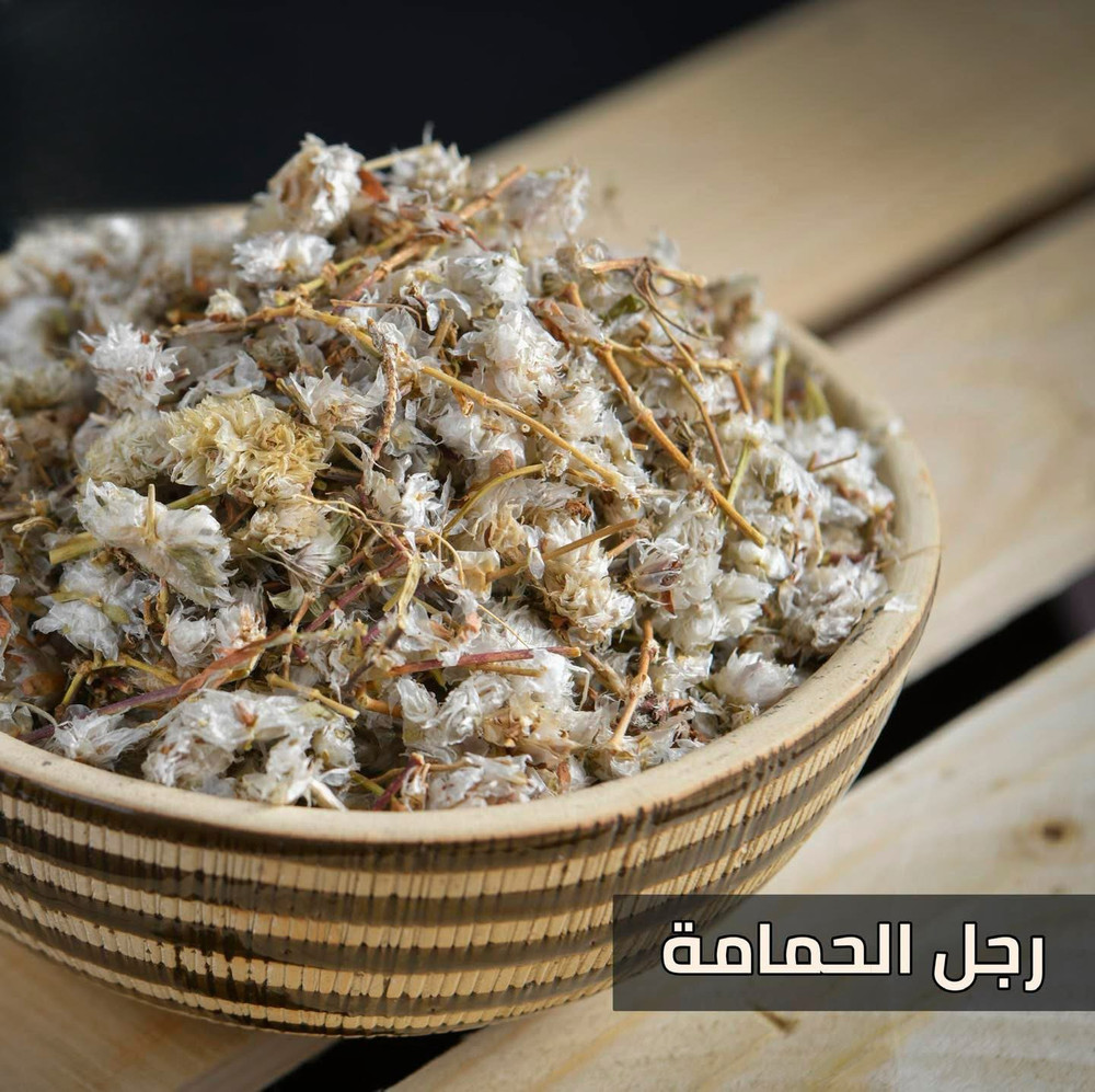 400g Paronychia argentea natural عشبة رجل الحمامة