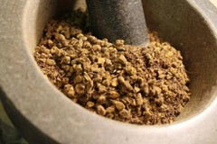 Goldenseal Root – Cut and Sifted Root, Appalachian Mountains Wild Harvest
