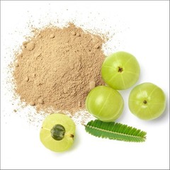 Pure Amla Powder – 8 oz Food-Grade Indian Gooseberry for Daily Nutrition & Co…