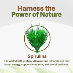 Spirulina Powder Organic, Pure Non-Gmo Non-Irradiated Blue Algae Superfood