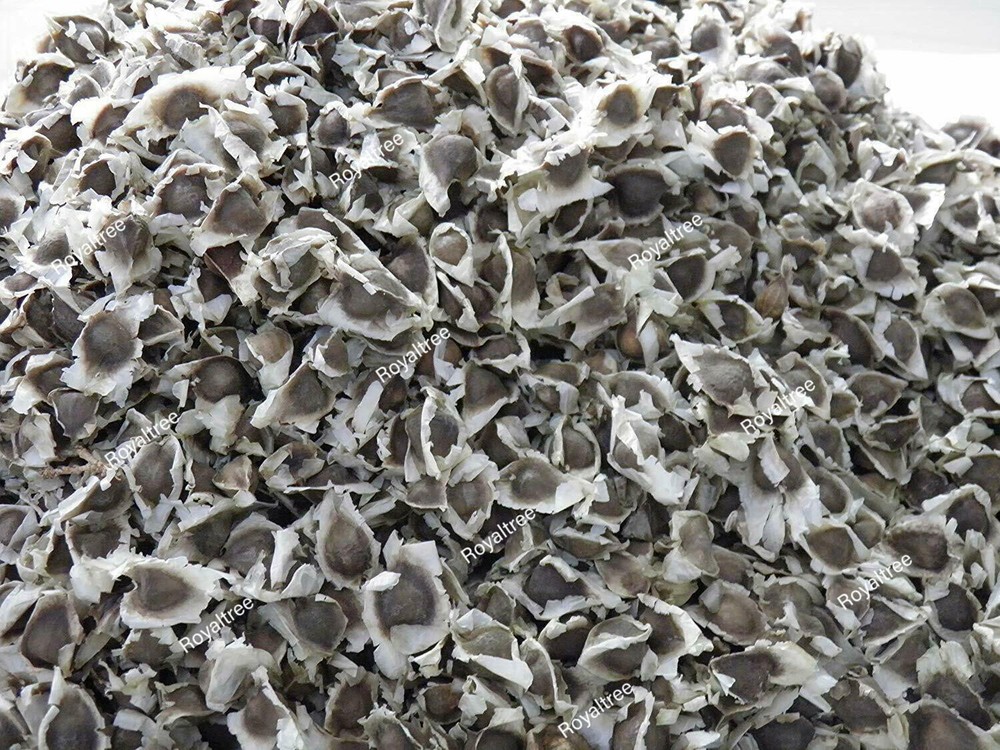 1000 Organic Moringa Seeds | Moringa Oleifera | Dried, Non GMO, Edible,Planting