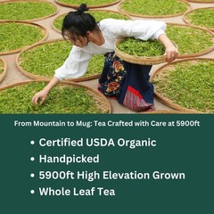 PiPi Tea Organic Oolong Bags – Whole Leaf, 20 (4g Each) 20