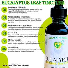 Eucalyptus Leaf Tincture Natural Organic Liquid Herbal Drop 2 oz Respiratory Aid