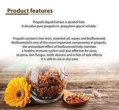 BIG BEE Propolis Liquid Extract 20ml | Original Product of Thailand