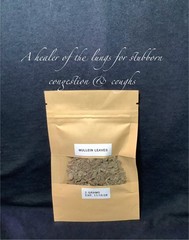 Mullein Leaves 2 Grams Herb for Respiratory Wellness, Earache, Nerves & Tissues