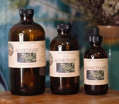 ROSEMARY Extract Remember Memory Nourish ORGANIC FOLK Tincture