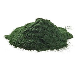 Premium Spirulina Superfood Powder 100g | 100% Pure Blue-Green Algae