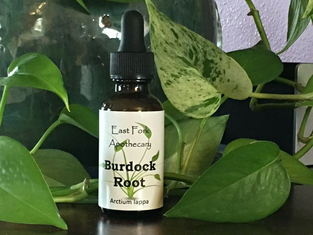 Burdock Root Tincture 1 oz. Wildcrafted