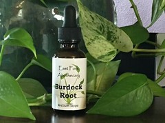 Burdock Root Tincture 1 oz. Wildcrafted