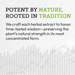 Secrets Of The Tribe Bitter Melon Capsules, 500 mg