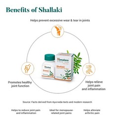 🌿 Himalaya Shallaki – 60 Tablets Each | Pack of 15 | Expiry 03-2027 |