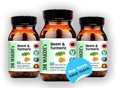 DR WAKDE’S Neem & Turmeric Capsules | 60 Veg Caps | Ayurvedic Supplement | Ve…