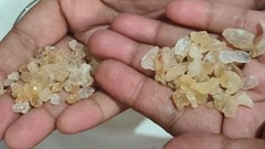 “100% Pure Natural Gond Katira | Tragacanth Gum Crystals | Ayurvedic 7 oz