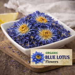 Organic Whole Blue Lotus Flowers Bulk | Nelumbo nucifera | Dried | USA |