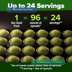 Non-GMO Heirloom Alfalfa Sprouting Seeds – Bulk Organic Vegetable Seeds