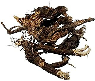 Osha Root Whole Wildcrafted 1 ounce PREMIUM OUALITY