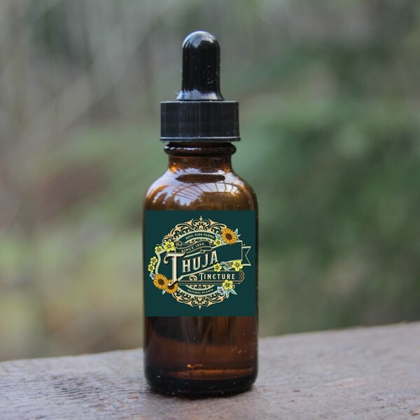 Pure Thuja Extract Thuja Tincture (Thuja plicata) Apothecary Grade Herbalism 2oz