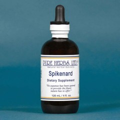 Pure Herbs: Spikenard – 4 oz.