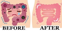 Parasite Cleanse 2 oz(60m0l)