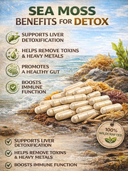 Irish Sea Moss Capsules – 100 Count – BOOST ENERGY & HEALTH – free shipping