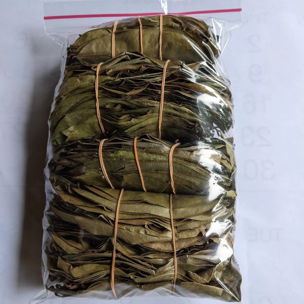 Dried Soursop Graviola Leaves Herbal Tea 100% Organic Hojas De Guanabana Leaf