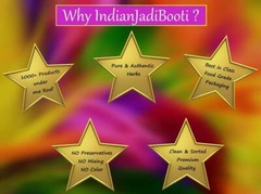 IndianJadiBooti – Jamalghota Seeds – Croton Seeds – Croton Tiglium, 100 Grams