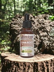 Osha Root Tincture – Respiratory System