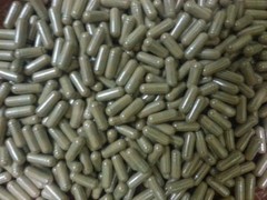 Green Coffee Bean Extract Capsules 55% Chlorogenic Acid Pure high quality CGA