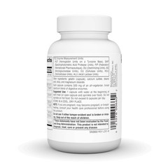 Source Naturals Essential Enzymes 500mg Bio-Aligned 120 Count (Pack of 1)