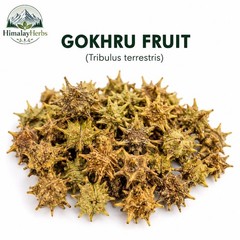 Gokhru Whole & Powder | Tribulus Terrestris | Gokshura Herb | Natural Dried Herb
